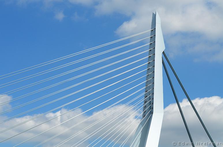 ENE-20120810-0482.jpg - Erasmusbrug