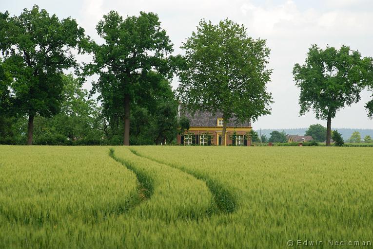 ENE-20070605-0015.jpg - Ommeren