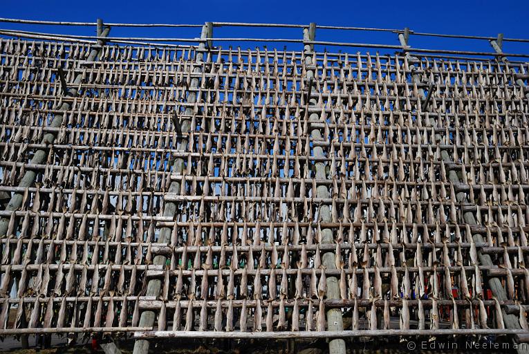 ENE-20090504-0356.jpg - [nl] Stokvis | Svolvær, Austvågøy, Lofoten, Noorwegen[en] Dried fish | Svolvær, Austvågøy, Lofoten, Norway