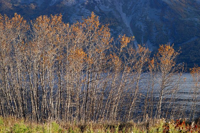 ENE-20101005-0792.jpg - Lomond, Gros Morne National Park