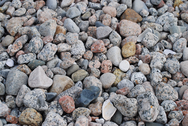  Cobble stones on beach in Newfoundland 